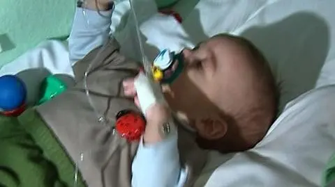 Jaś dostanie polskie obywatelstwo?