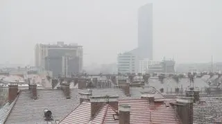 Śnieg przykrył wrocławskie dachy