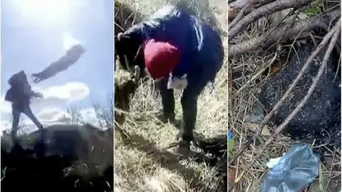 Nagrali jak zabijają kota