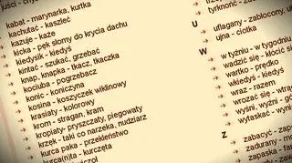 Małopolskie Łącko może poszczycić się już nie tylko produkcją słynnej śliwowicy, ale także „Słownikiem gwary górali łąckich”. Wydana właśnie publikacja zawiera kilka tysięcy haseł: - Chcemy ocalić te słowa od zapomnienia - tłumaczy autorka.