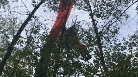 Zawieszona na drzewie. Spadochroniarce pomogli strażacy