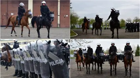 Podkarpacie. Konie na egzaminie. Teraz mogą służyć w policji