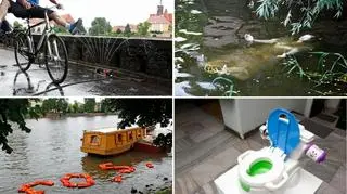 Artyści inspirowani powodzią