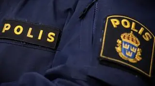 Wśród zatrzymanych w Nynäshamn mogą być osoby zatrzymane w styczniu podczas antyimigranckiej demonstracji w Sztokholmie