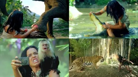 Katy Perry oskarżona o wykorzystywanie zwierząt dla rozrywki i promocji