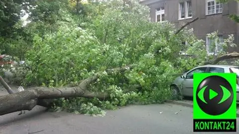 Wieje. Zniszczone auta, połamane drzewa