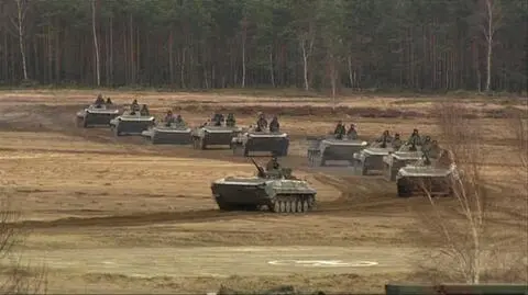 Polska armia w dobrej kondycji