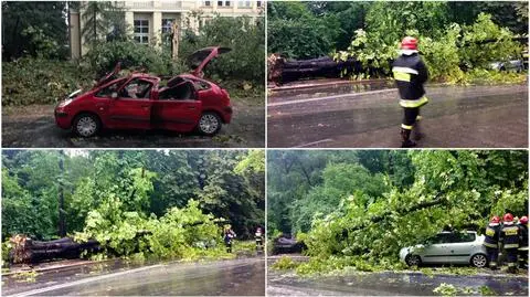 Ulewa polamała drzewa w Krakowie