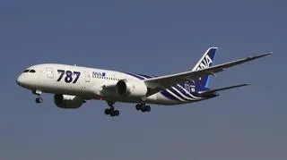 Dreamliner japońskich linii lotniczych ANA. W powietrzu po raz ostatni był w połowie stycznia