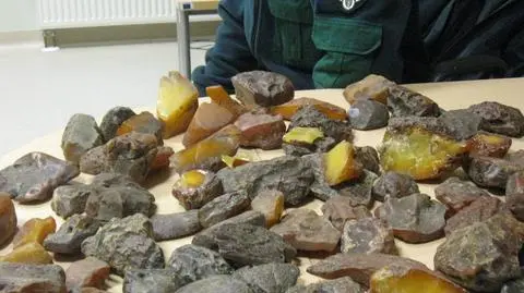 Przemycał 90 kilo bursztynu