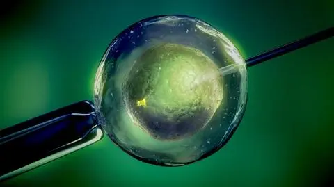 Ustawa o in vitro została podpisana 22 lipca