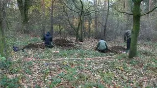 Szczątki samotów archeolodzy znaleźli pod Oławą