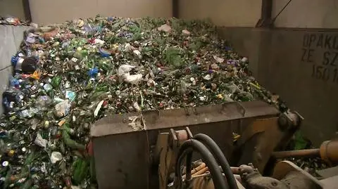 Poland imports tonnes of trash from Germany, but also from Australia and Nigeria