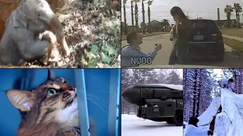 Wideo tygodnia tvn24.pl