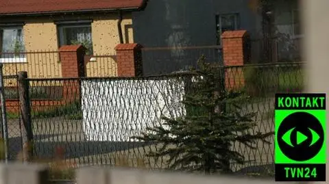 Rój w pełnej krasie