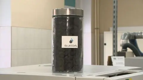 Śląsk walczy ze smogiem. Błękitny węgiel receptą na zanieczyszczenia