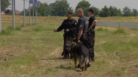 Ponad 100 psów będzie pomagać policjantom w zabezpieczaniu ŚDM