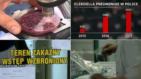  Klebsiella pneumoniae