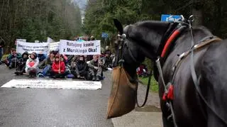 „I tak będziemy jeździć”. Fiakrzy kontra ekolodzy.