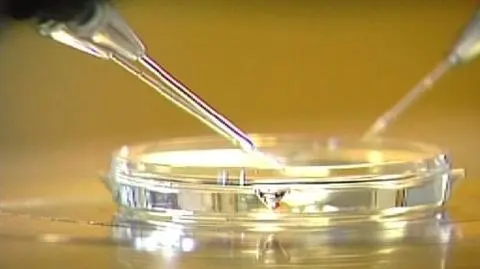 Komorowski o karaniu za in vitro: Nieprawdopodobnie dziwaczne