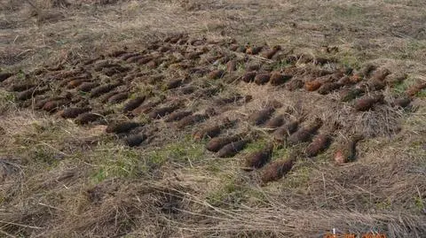 Podkarpacie. Policja zabezpieczyła 117 niewybuchów