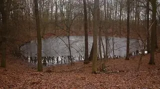 Jeden z 7 kraterów powstałych w wyniku upadku meteorytu na Morasku