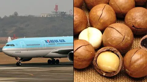 Awantura o orzeszki w samolocie Korean Air