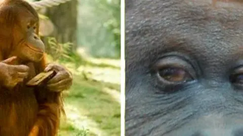 Jego zdjęcia podbijają internet