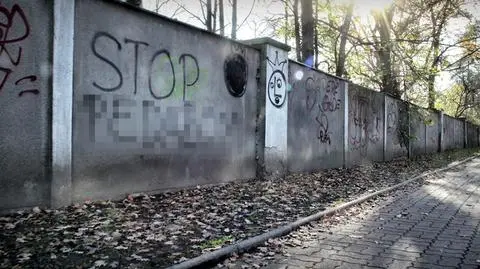Nienawiść jest problemem również w Polsce
