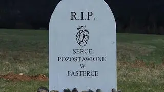 Ze schroniska Pasterka skradziono pomnik