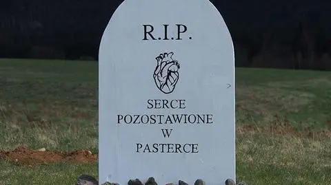 Ze schroniska Pasterka skradziono pomnik