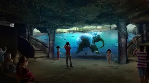 Łódzkie zoo czeka rewolucja za 240 mln. Zobacz, jak ma wyglądać