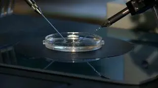 Bp Artur Miziński podkreśla, że in vtro nie jest do zaakceptowania z punktu widzenia nauki Kościoła