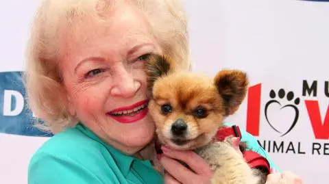 Betty White w 2013 roku wpisana została do Księgi Rekordów Guinnessa