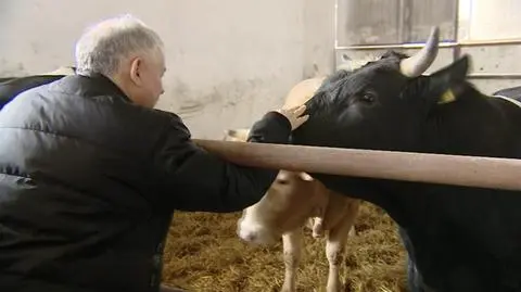 Jarosław Kaczyński w Wielkopolsce