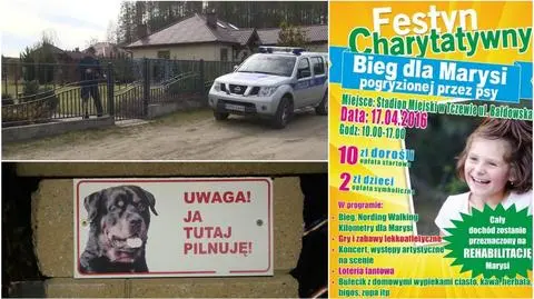 Tczew: festyn dla dziewczynki pogryzionej przez psy
