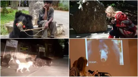 W niedzielę wmurowano akt erekcyjny pod budowę azylu