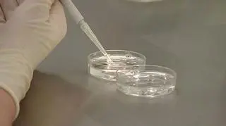 In vitro ma finansować państwo