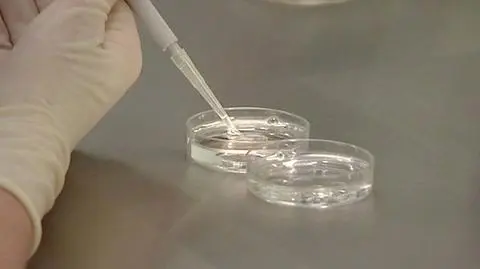 Małopolscy radni PO chcą współfinansowania in vitro. Klub przeciw