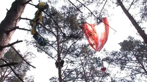 Skydiver&#039;s parachute got entangled in a tree. Man had to be brought down by special crew