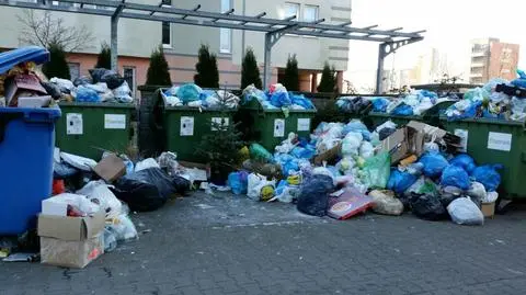 Za problem ze śmieciami wiceprezydent odwołał szefa GOAP