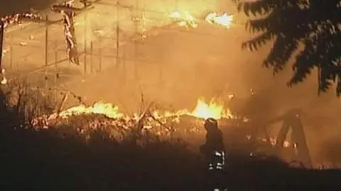 Ogień we włoskiej Fabryce Snów