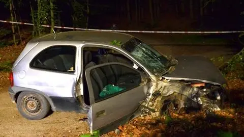 20-latka bez prawa jazdy, po alkoholu, uderzyła w drzewo. Zginął 66-latek