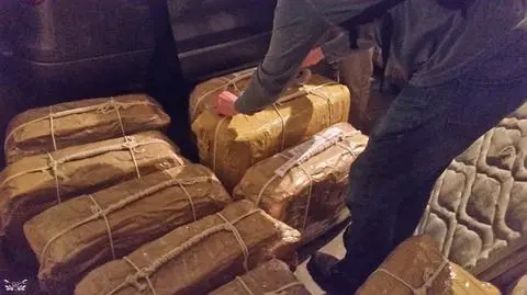 Po znalezieniu narkotyków doszło do zatrzymań 