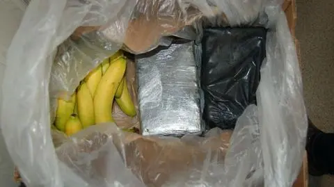 CBŚ ustala, do kogo adresowana była przesyłka z bananami i kokainą