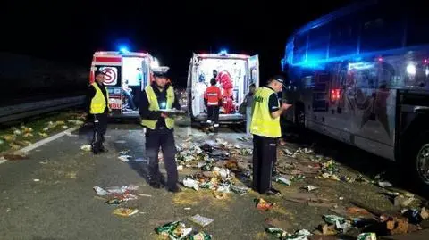 Do wypadku doszło krótko po północy pod Piotrkowem Trybunalskim