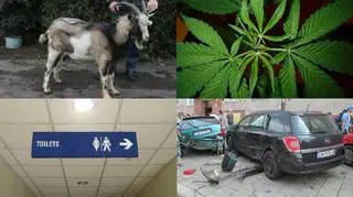 Interwencje dolnośląskiej policji