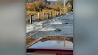 Wybraliście najciekawsze wideo tygodnia w tvn24.pl