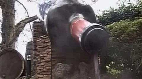 Dziś króluje cienkusz!