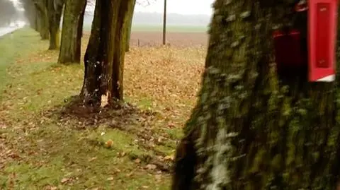 Wypadek w Boćkach. Nie żyje siedmiolatek, cztery osoby ranne